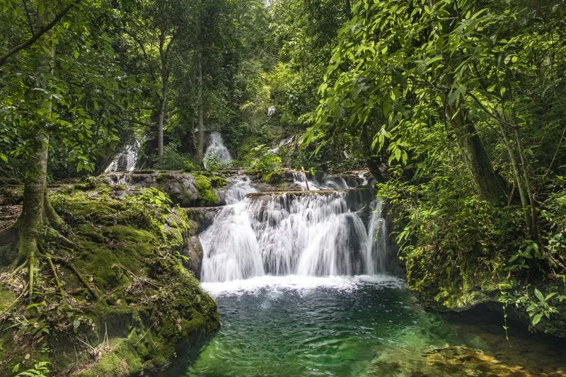 Boca da Onça - Rapel e Trilha Adventure com almoço — Bonito MS Brazil ecotourism tour photo 4