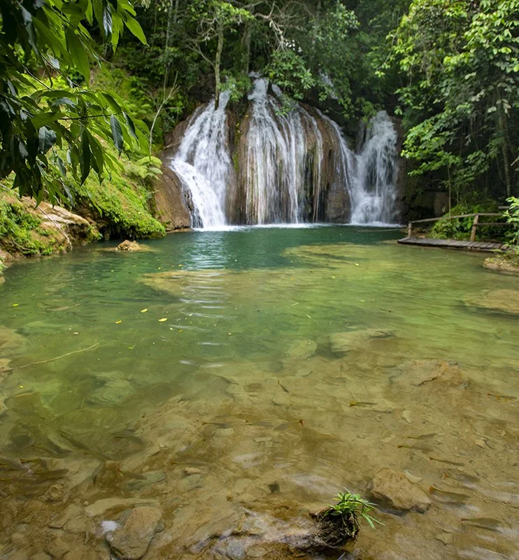 Rio do Peixe | Trilhas e Cachoeiras (Almoço Incluso)