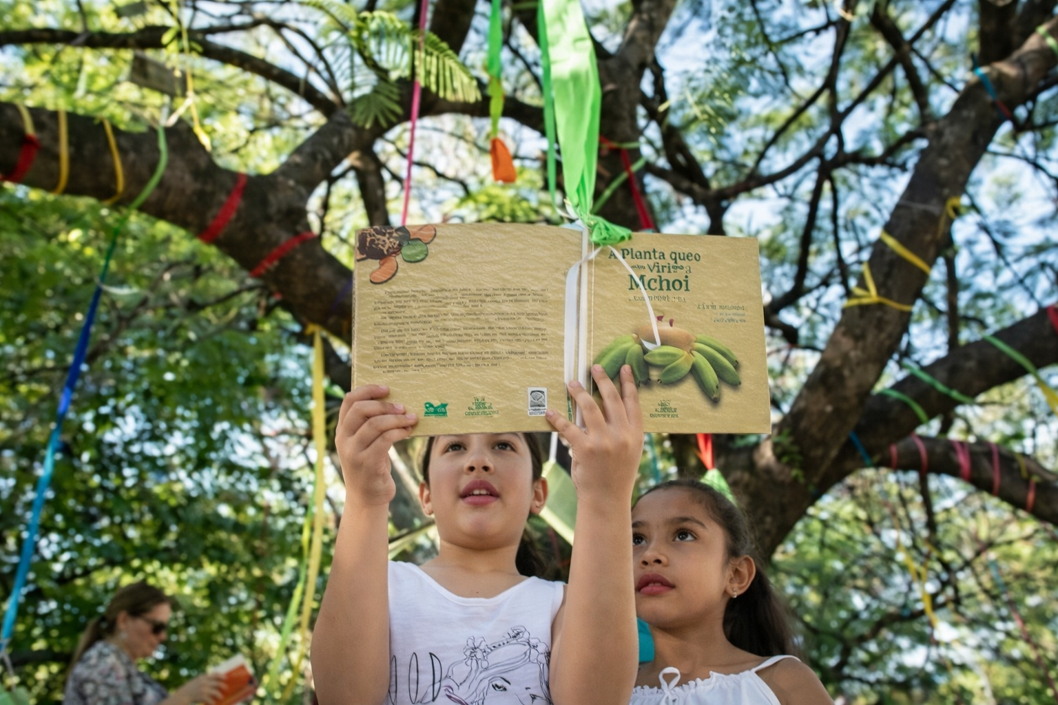 10ª Feira Literária de Bonito 