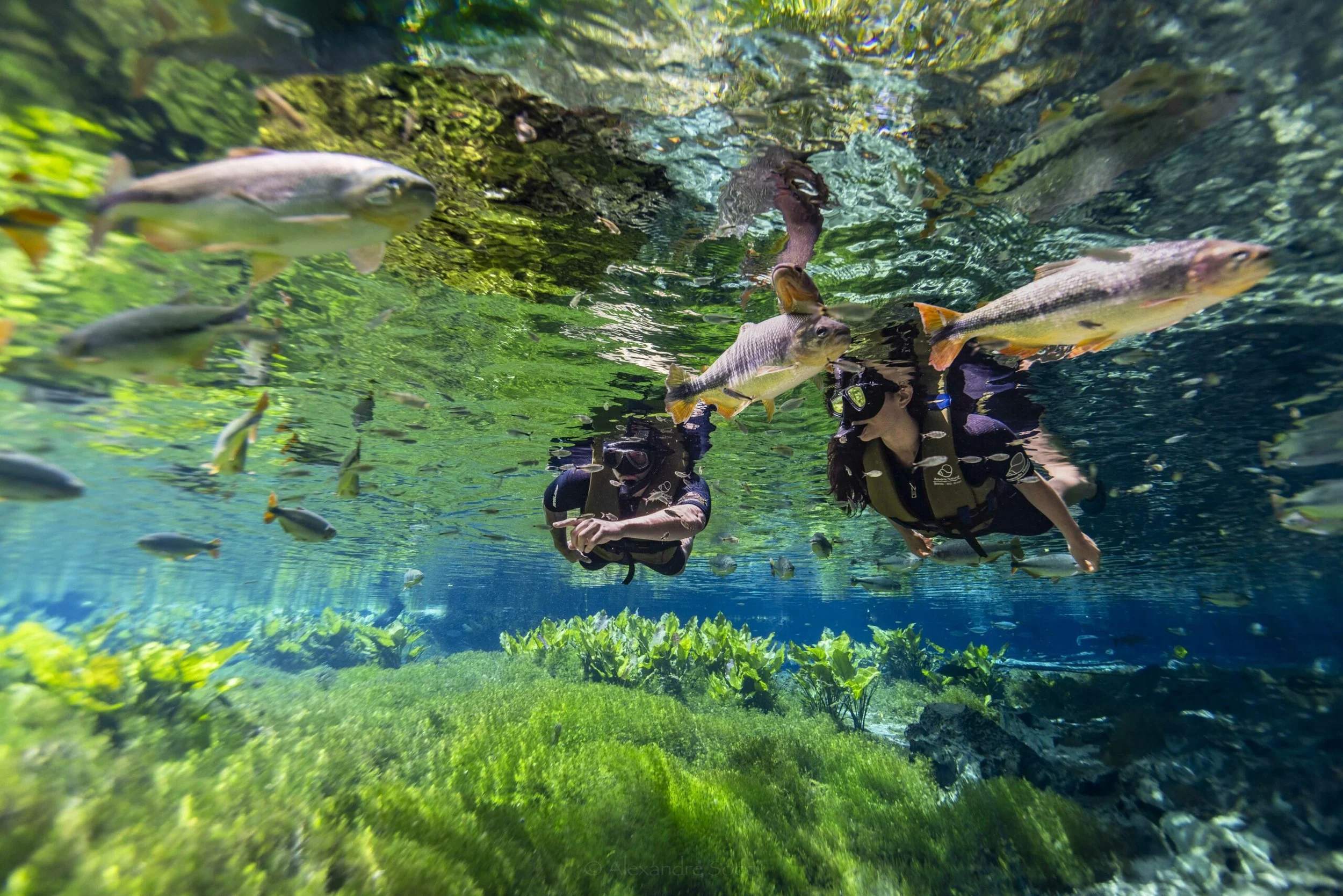 Bonito recebe 293 mil turistas em 2025 e mantém turismo em patamar elevado