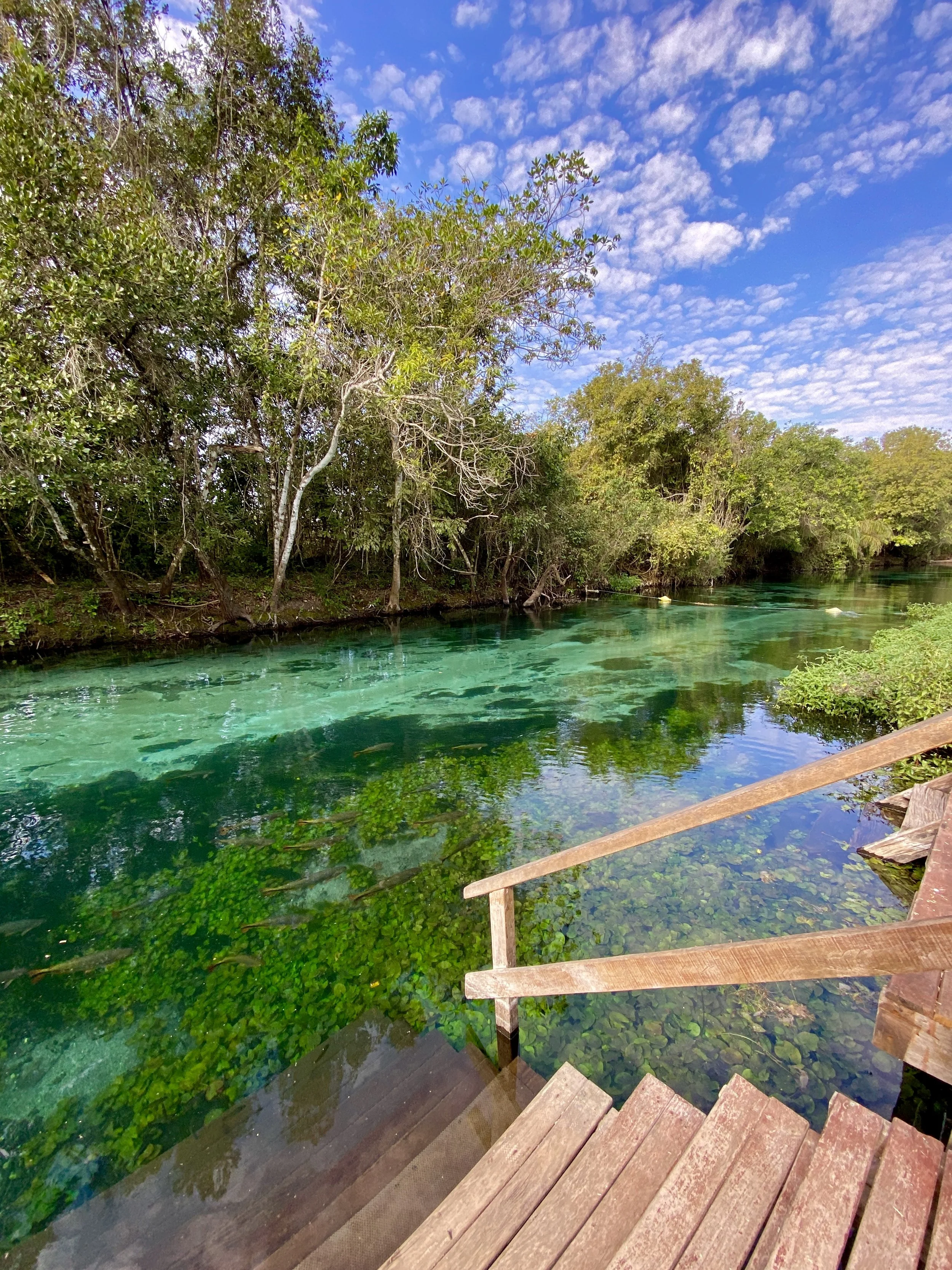 Área de banho do Refúgio da Barra no Rio Formoso em Bonito MS