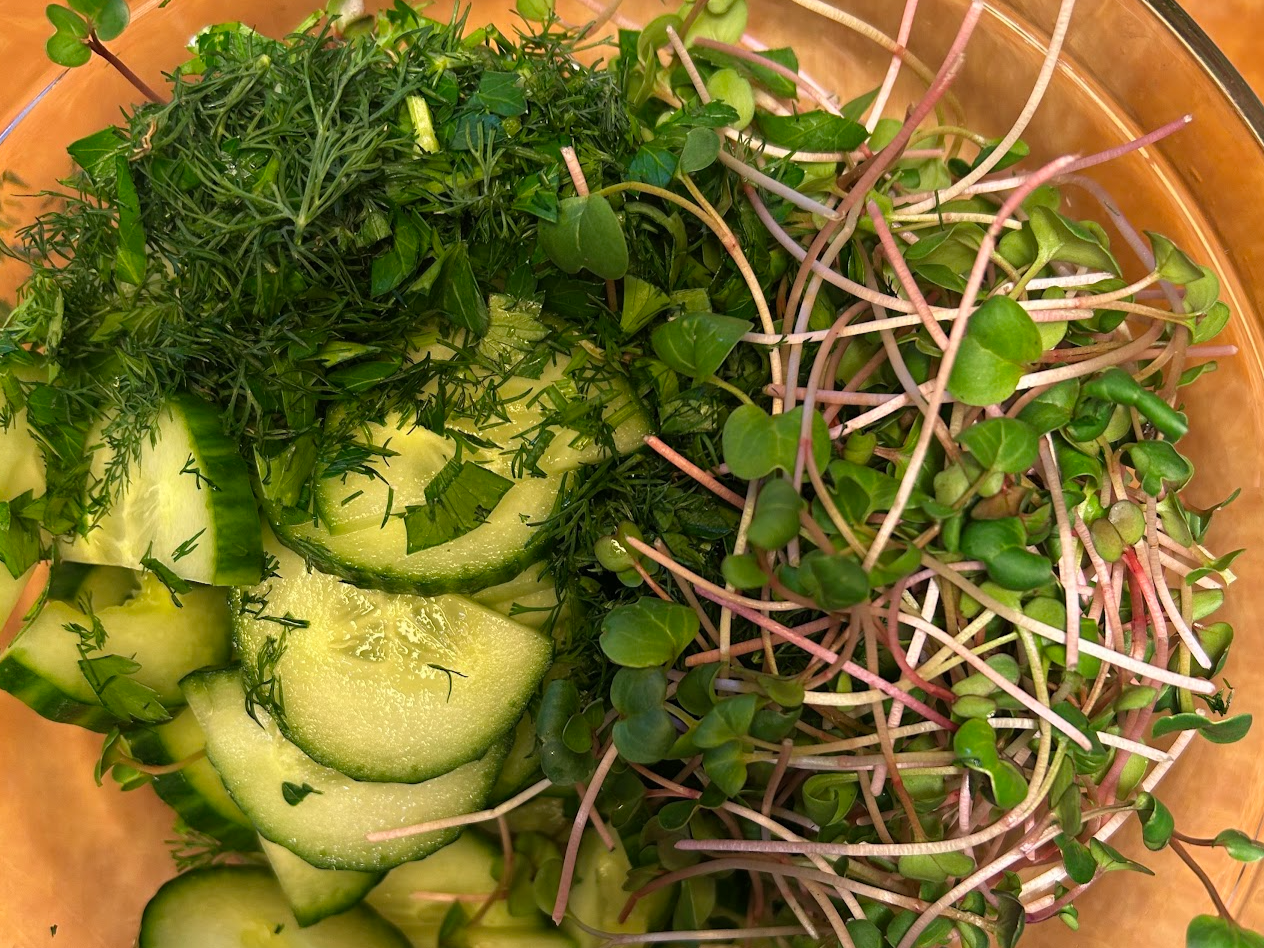 Screenshot 2025-05-14 at 3.18.08 PM.png