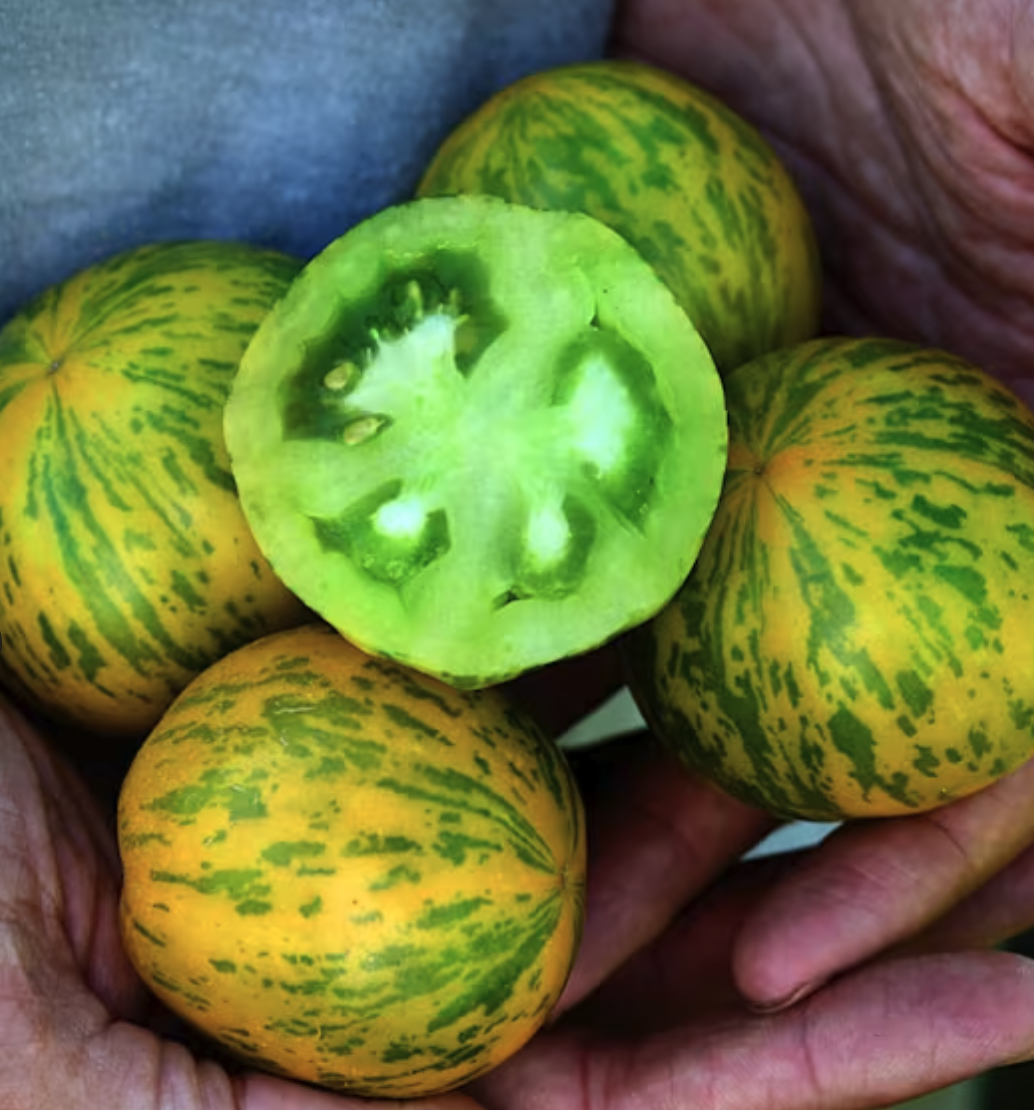 Screenshot 2026-01-14 at 11.04.29 AM.png