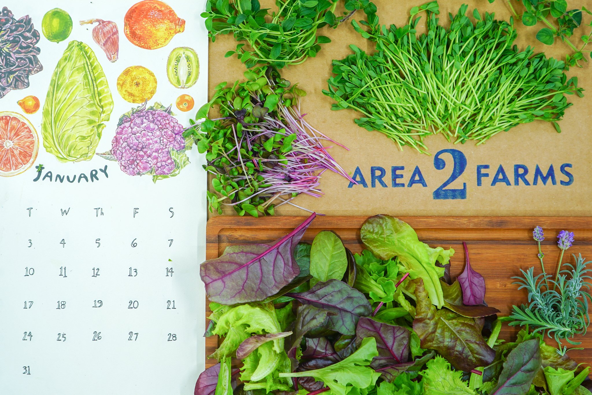 TWH 1.30.23
