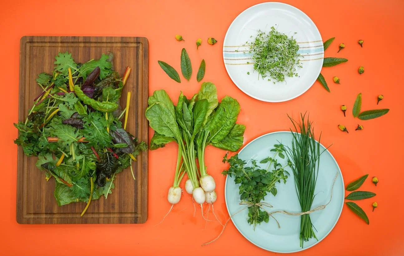 This week's harvest includes our beet + kale blend, mizuna microgreens, oregano, garlic chives, hakurei turnips, lemon verbena + buzz buttons. 
SEE FULL MENU: www.area2farms.com/almanac/this-weeks-harvest-51523