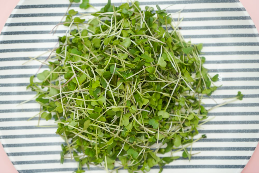 Spicy Microgreens