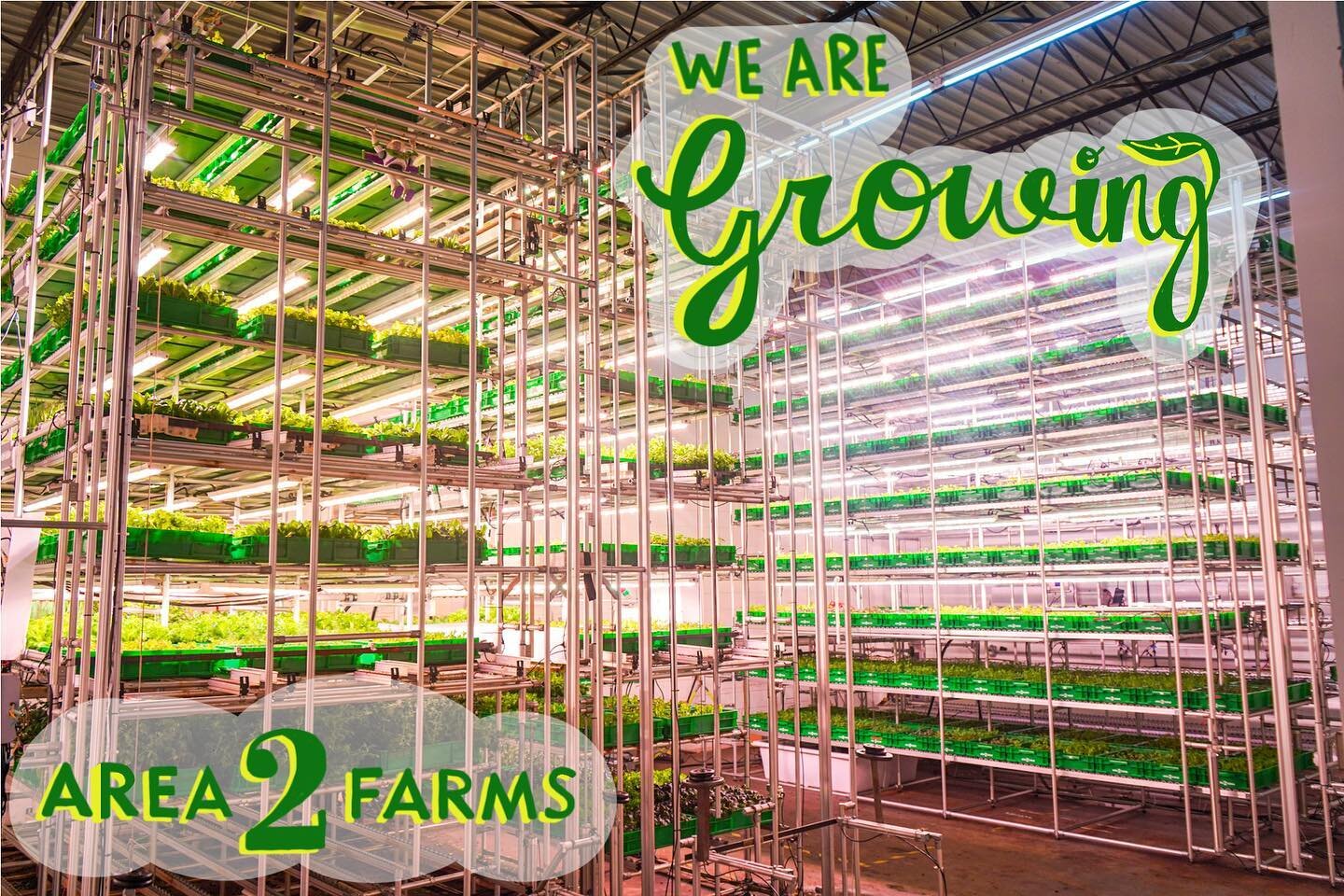 Just a hunk of growing love. Our latest technical achievement is a new and improved growing system. Increased capacity and streamlined low cost automations are a significant leap ahead in urban farming, so you can get what&rsquo;s good, when it&rsquo