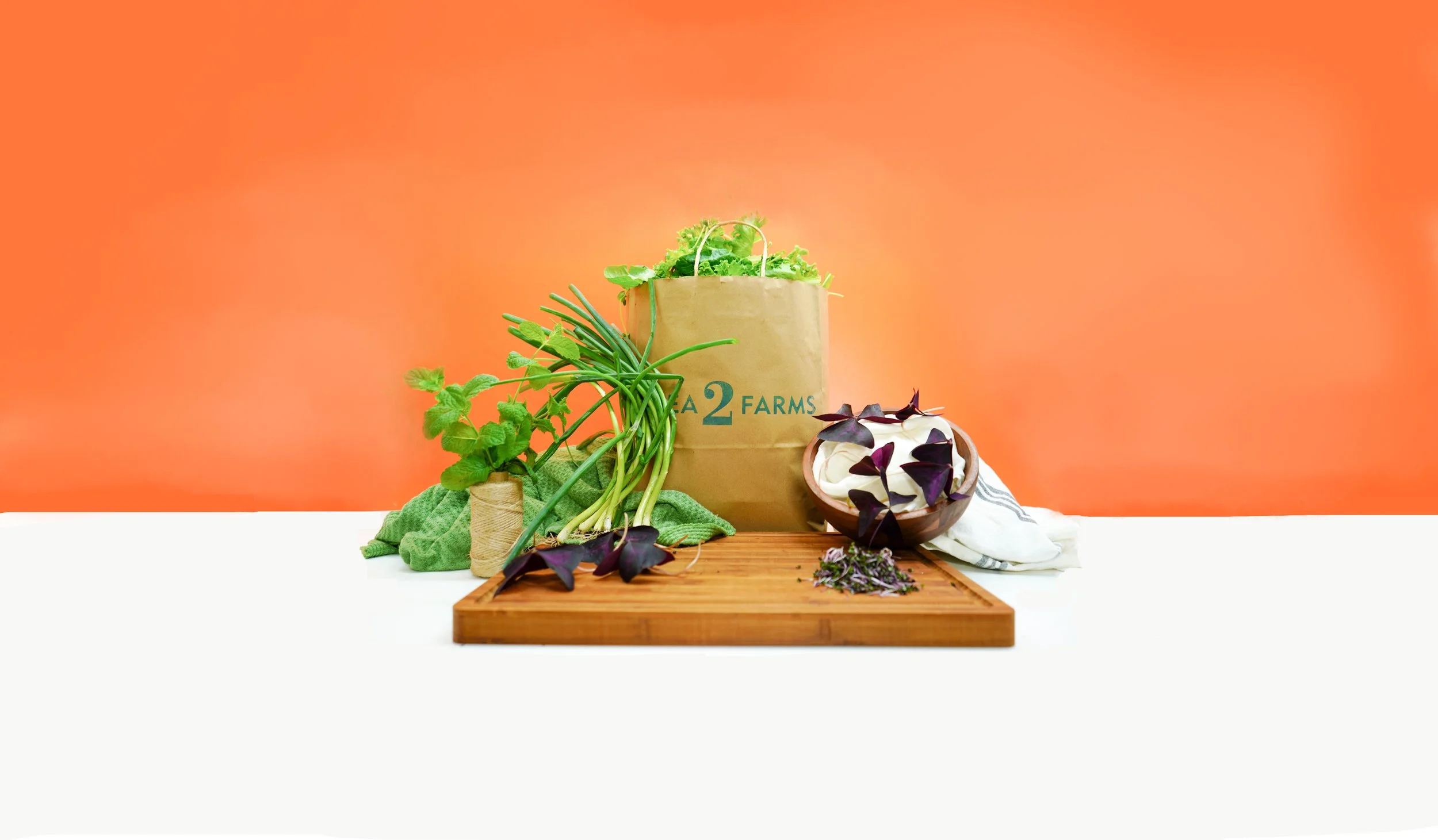 Embrace the Harvest: CSA Fall Season