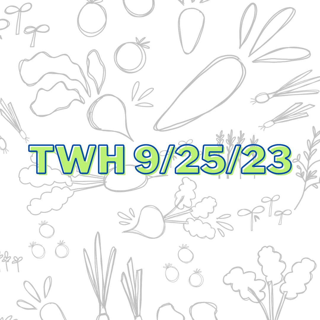 TWH 9.25.23
