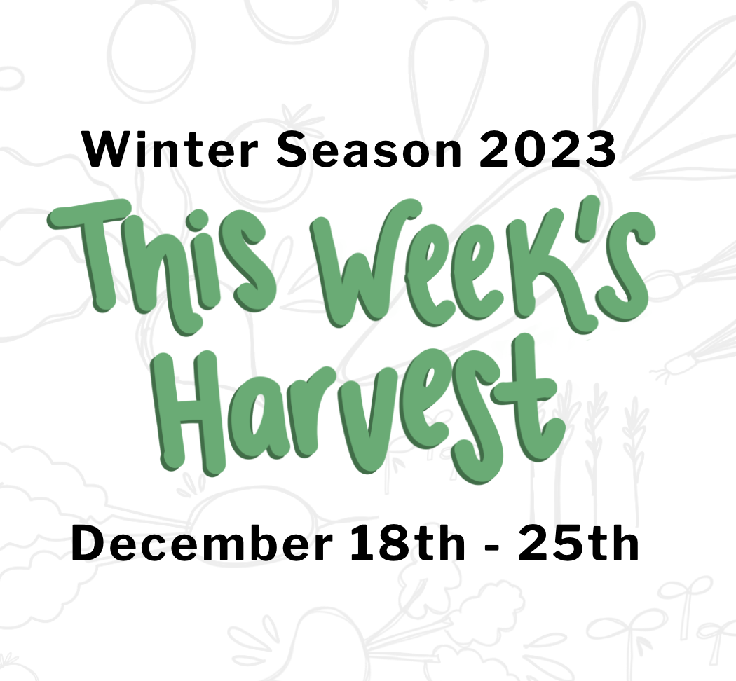 TWH 12.18.23