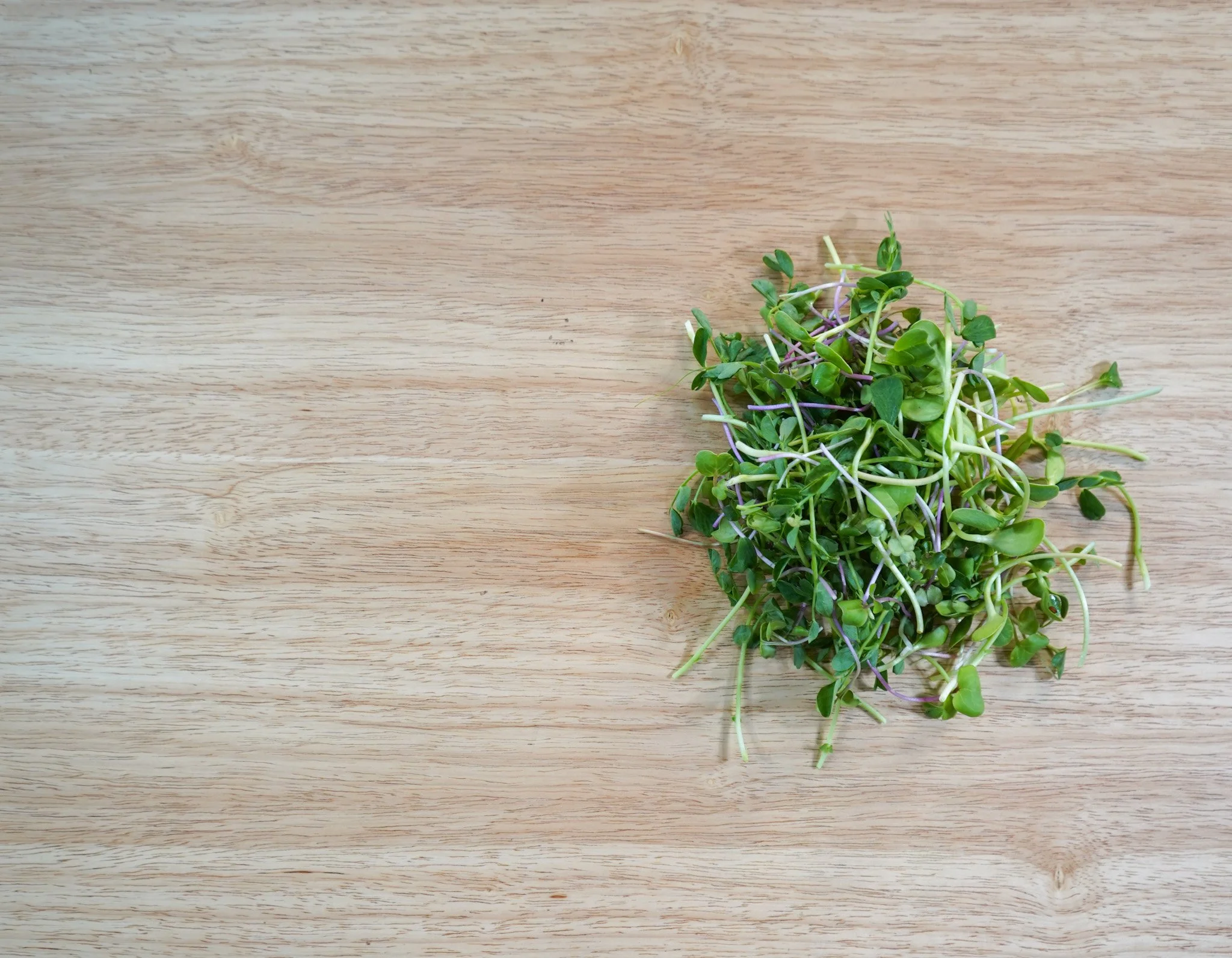 Farmer’s Choice Microgreen Mix