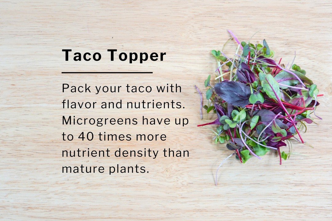 Enjoy a special Cinco de Mayo harvest! Get delivered to you our organic citrus crunch, tatsoi microgreens, spicy peppers, recovery tea (chamomile, tulsi, and lemon balm), and a taco topper (mix of flavorful microgreens).