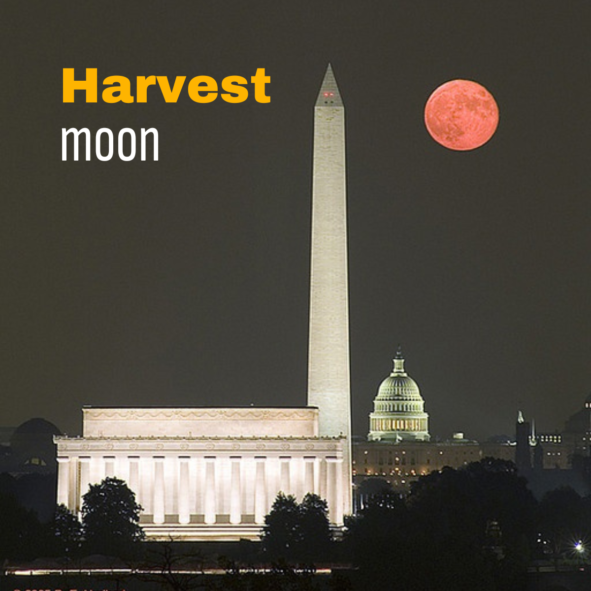 Harvest Moon