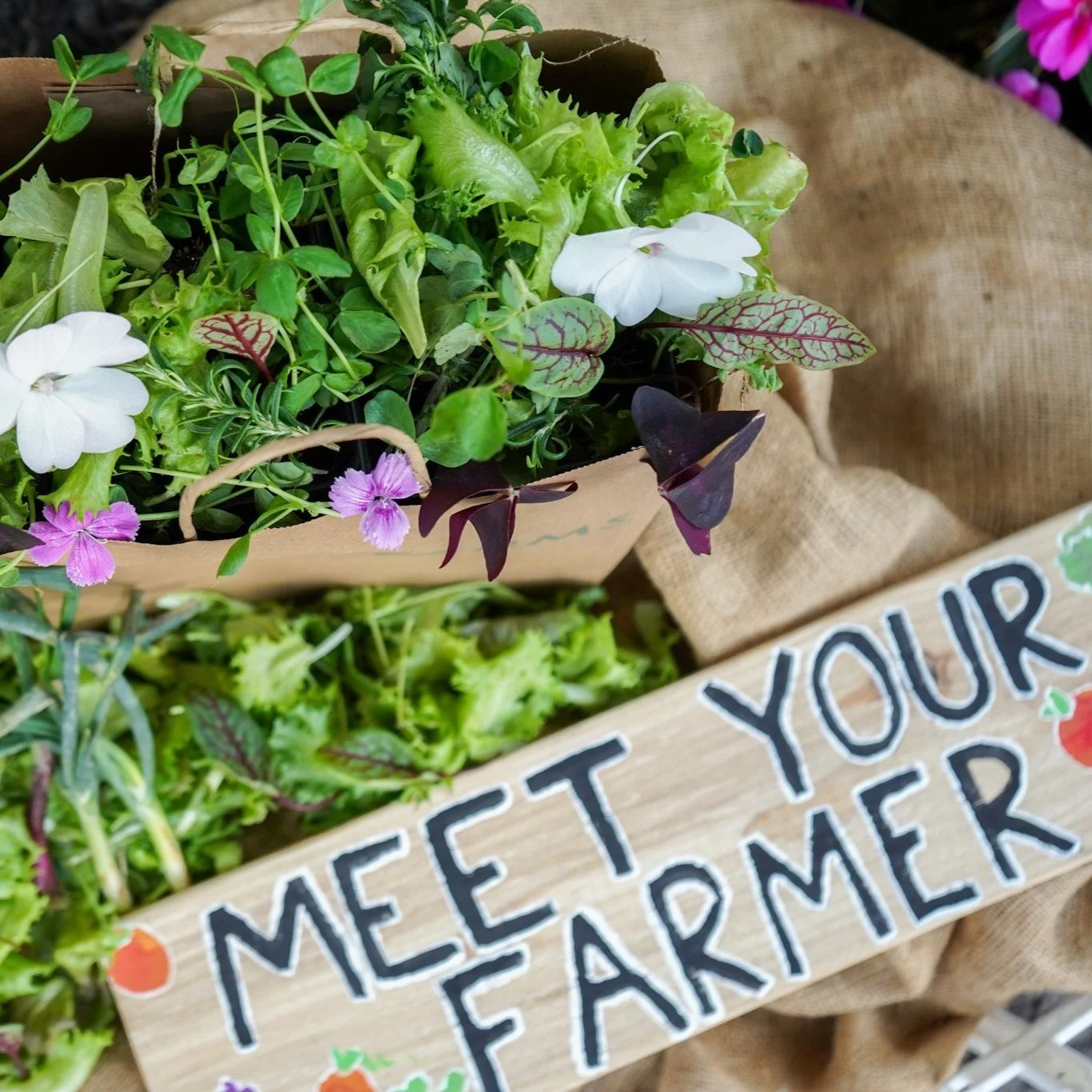 Area 2 Farms at MGFA Community Health Fair