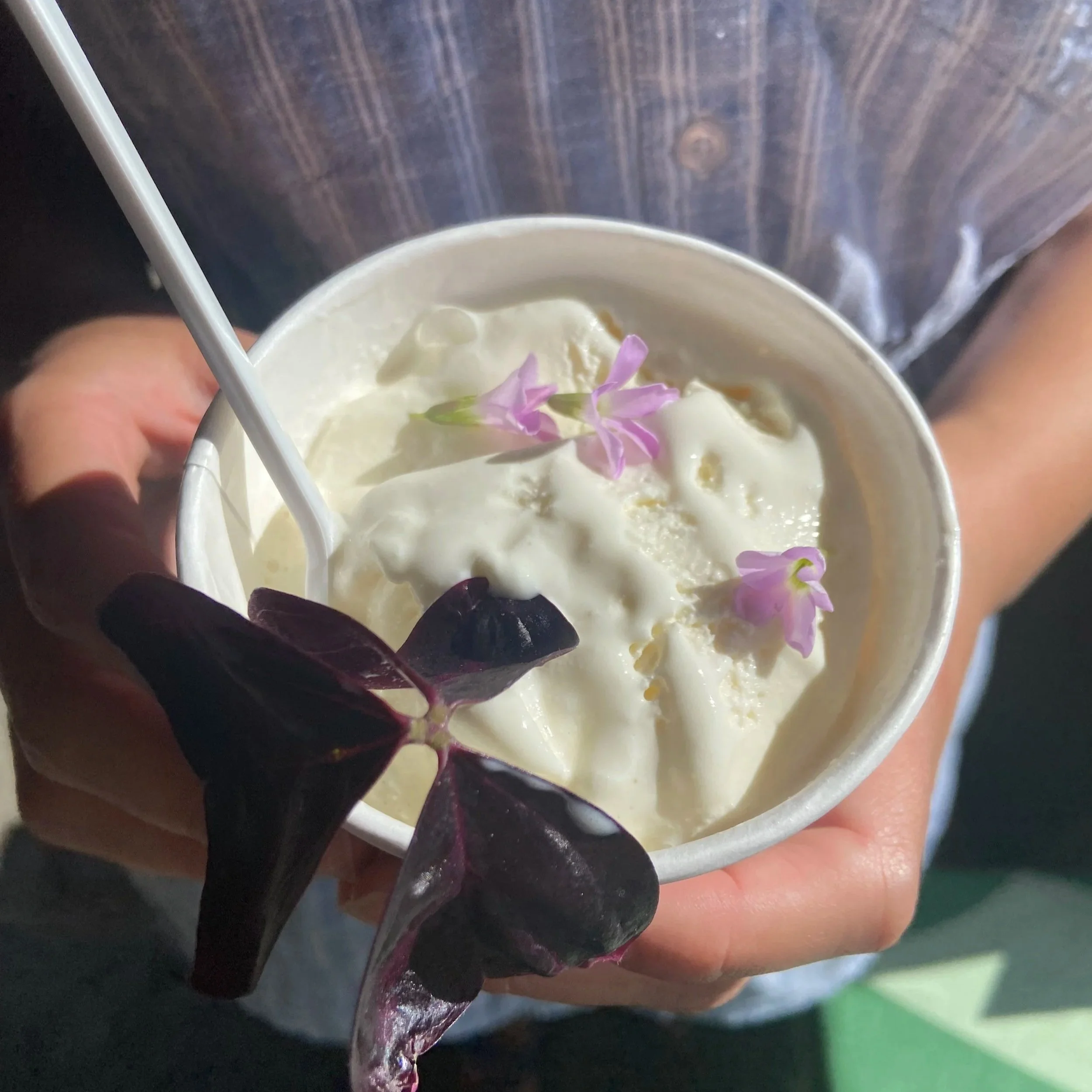 Ice Cream Social with Ballston Exchange