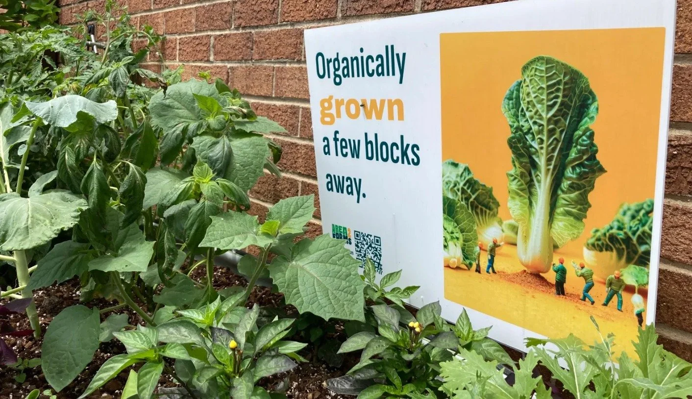 &quot;People living in cities need fresh food, and it's best to grow it in those cities&quot;

Read more: https://www.context.news/nature/in-the-us-urban-farmers-use-empty-buildings-for-growing-crops