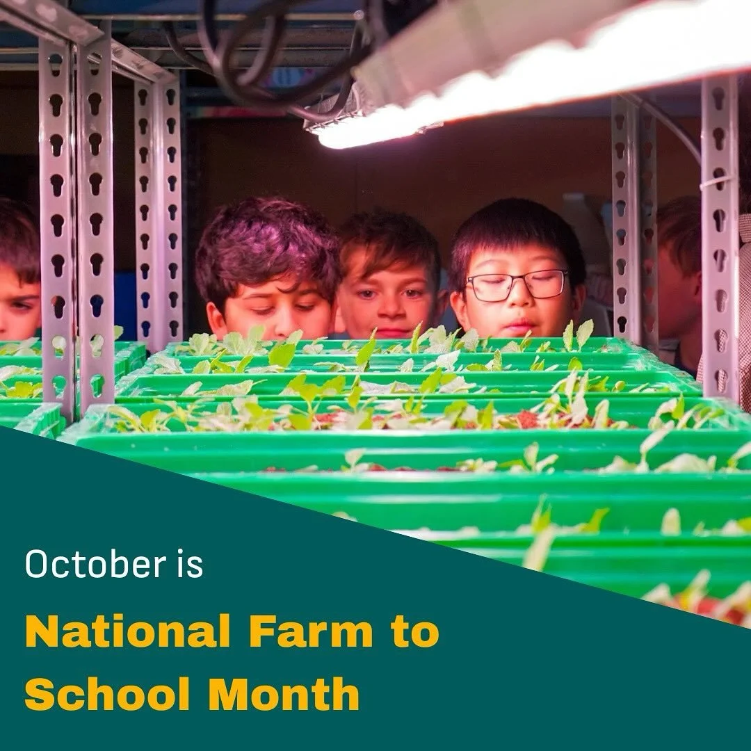 Farm to School Month = hands-on learning about food, soil, and farming! 🪱 Thousands of students visit Area 2 Farms each year&mdash;schedule your school&rsquo;s tour today! #farmtoschoolmonth #farmtour #futurefarmers