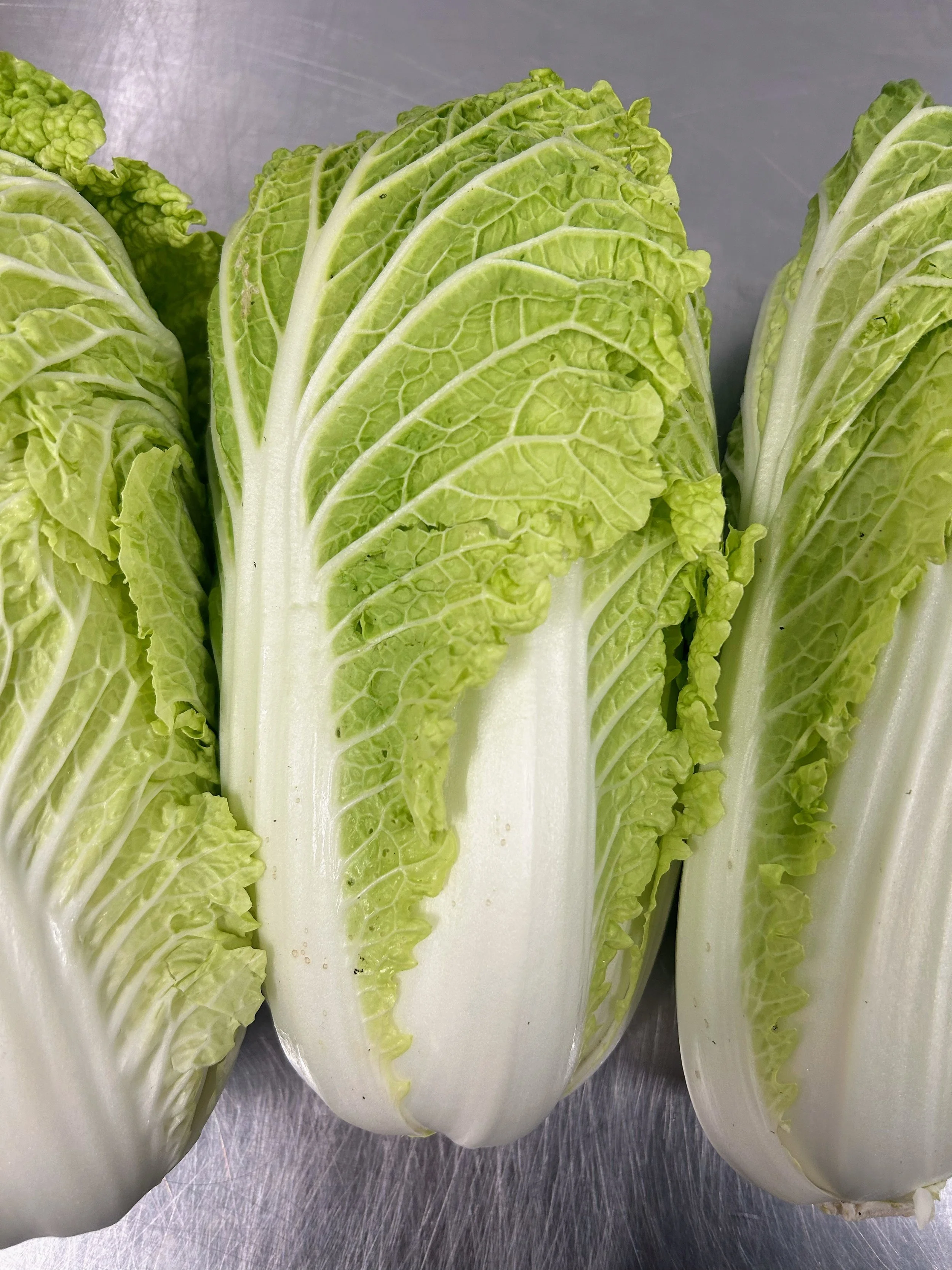 napa cabbage.jpeg