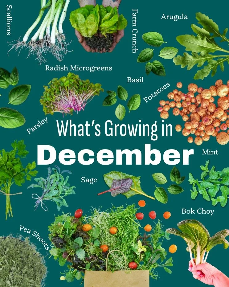 Check out what is growing in December on the farm. 

Want more info? Comment or DM us! + we will send you a code to get you started.