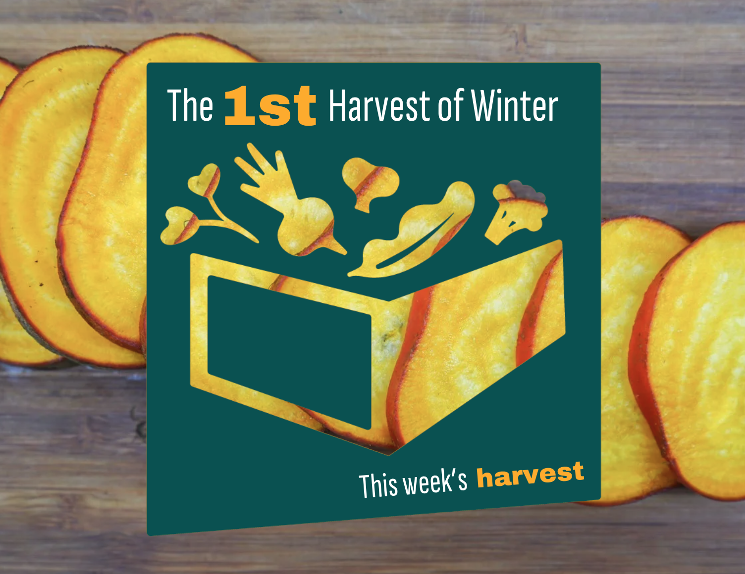 Weekly Harvest Guide 12/15/25