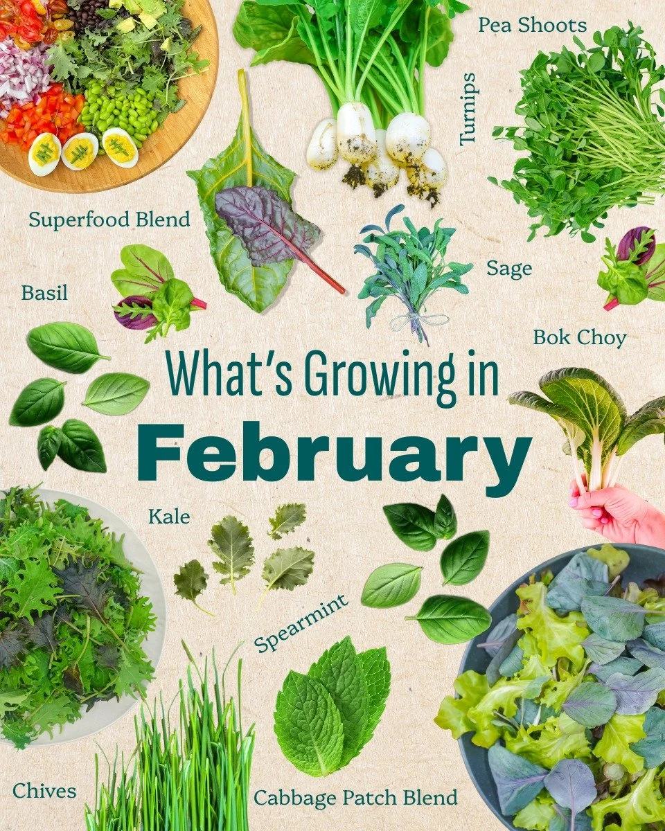 Check out what is growing in February on the #farm.

Want more info? Comment or DM us! + we will send you a code to get you started.