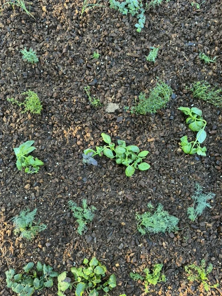 Setting the Stage for Your Spring Success