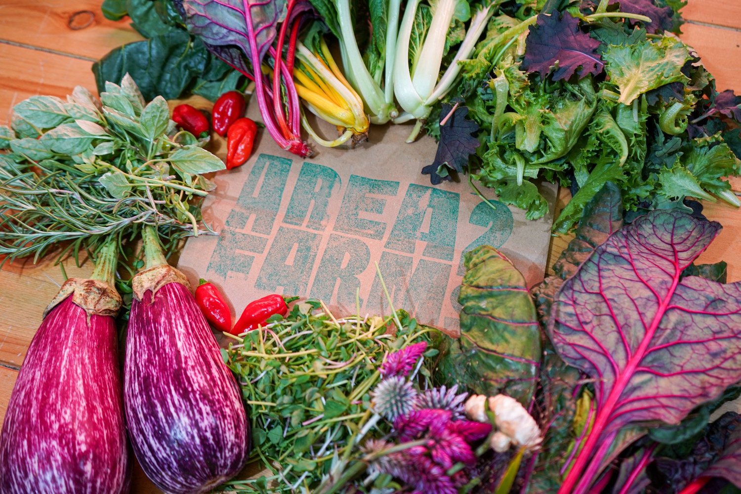 A weekly harvest gathered around an Area 2 Farms bag: chard, eggplant, herbs, microgreens, peppers, and local honey