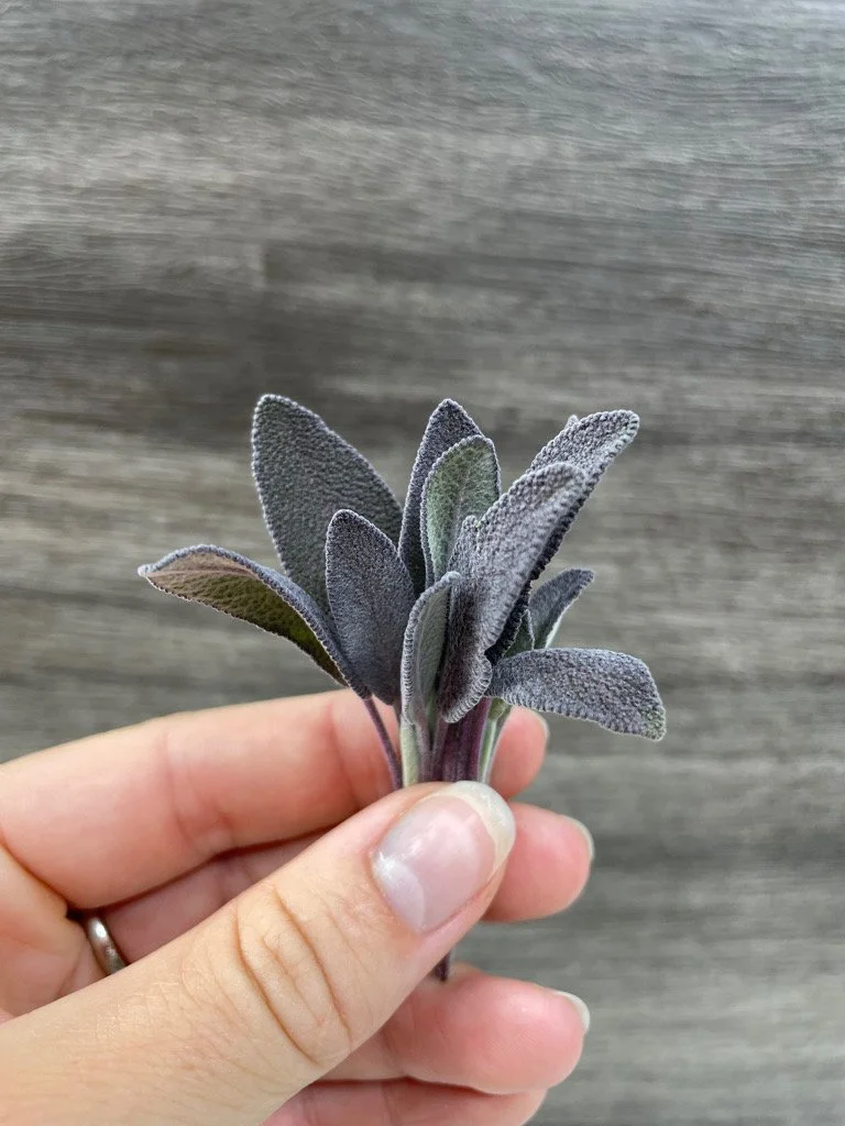 Area 2 Farms: Thanksgiving feast everything but the turkey / sage