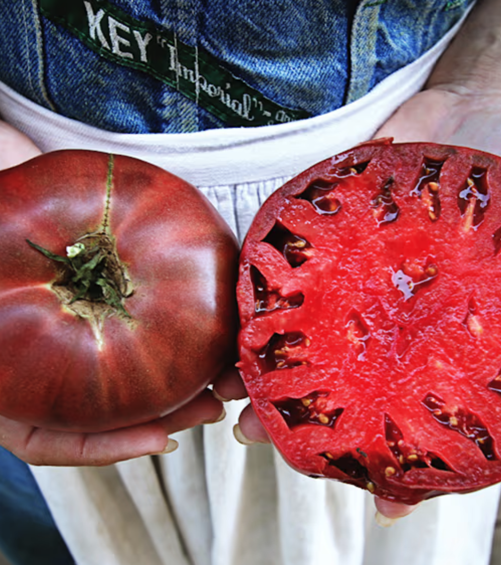 Screenshot 2026-01-14 at 11.13.21 AM.png