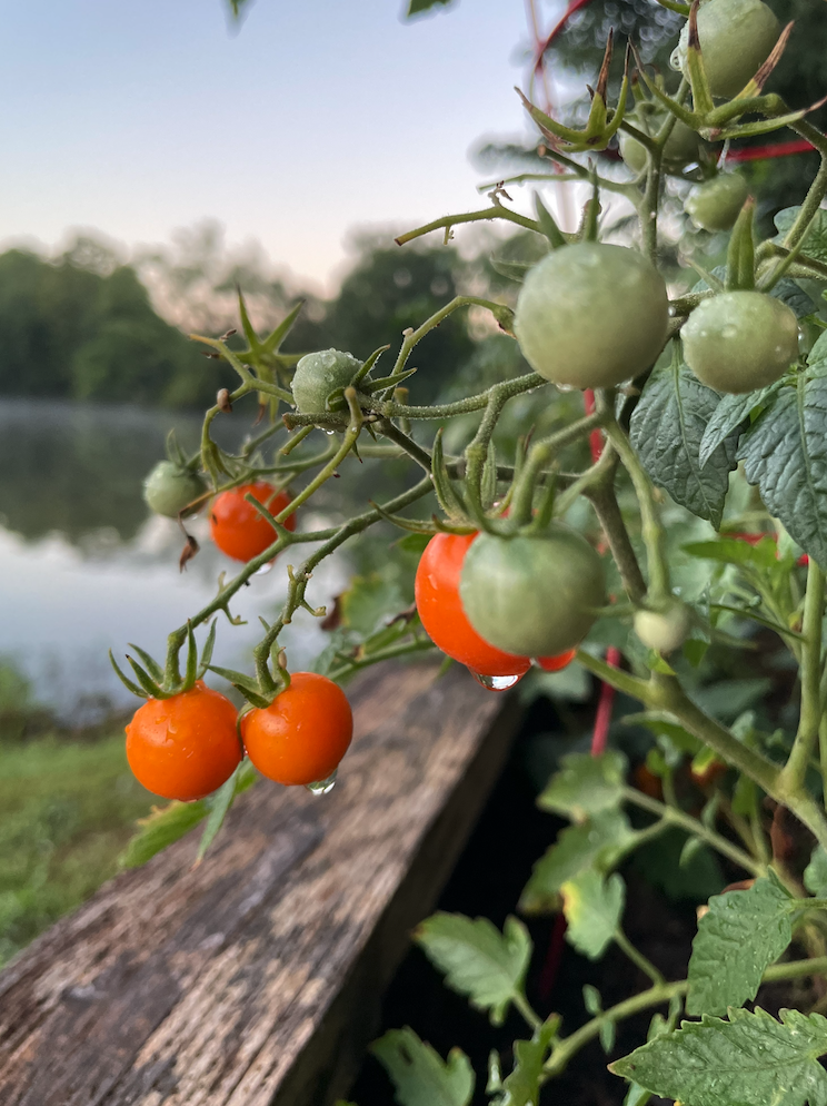 Screenshot 2026-01-14 at 11.12.29 AM.png