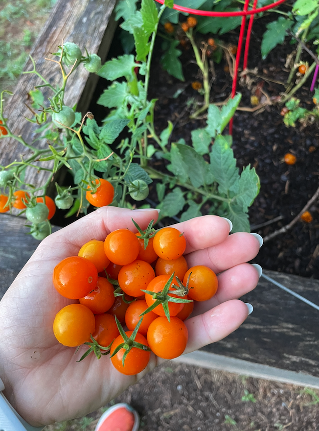 Screenshot 2026-01-14 at 11.12.47 AM.png