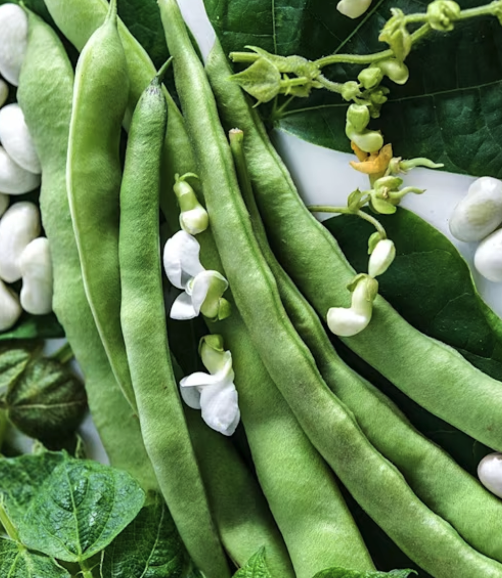 Green Beans