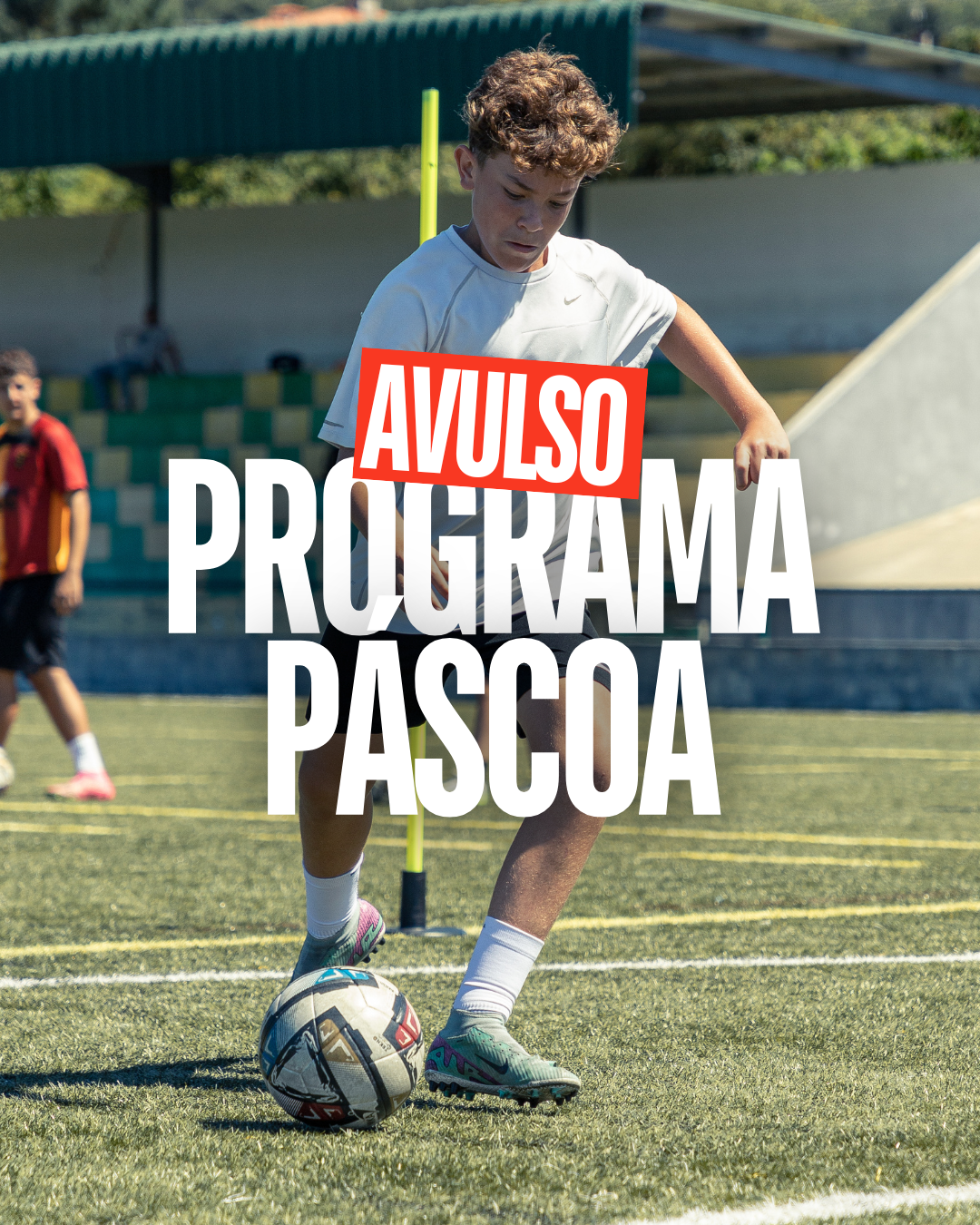 PROGRAMA  AVULSO