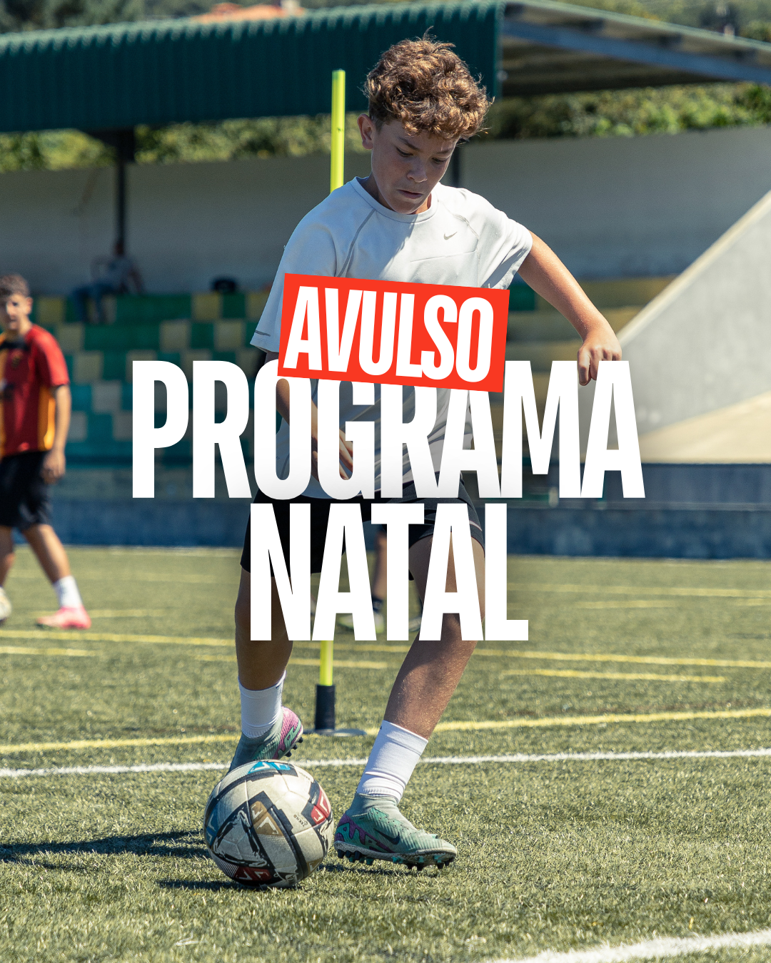 PROGRAMA  AVULSO