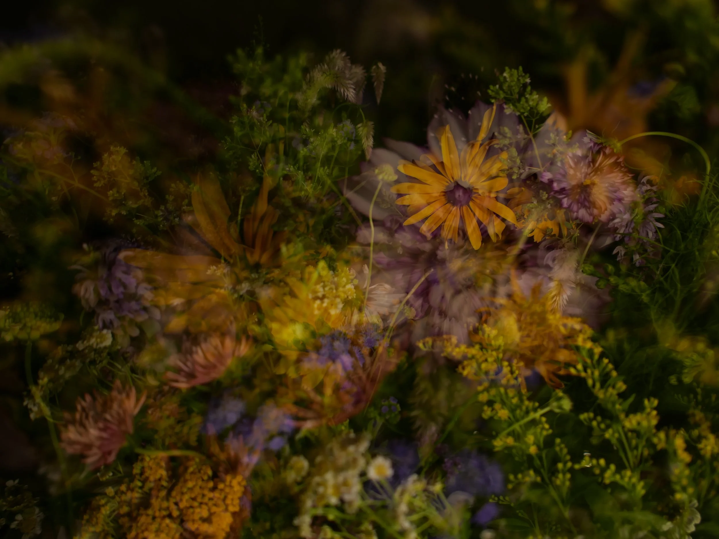 Summer solstice 