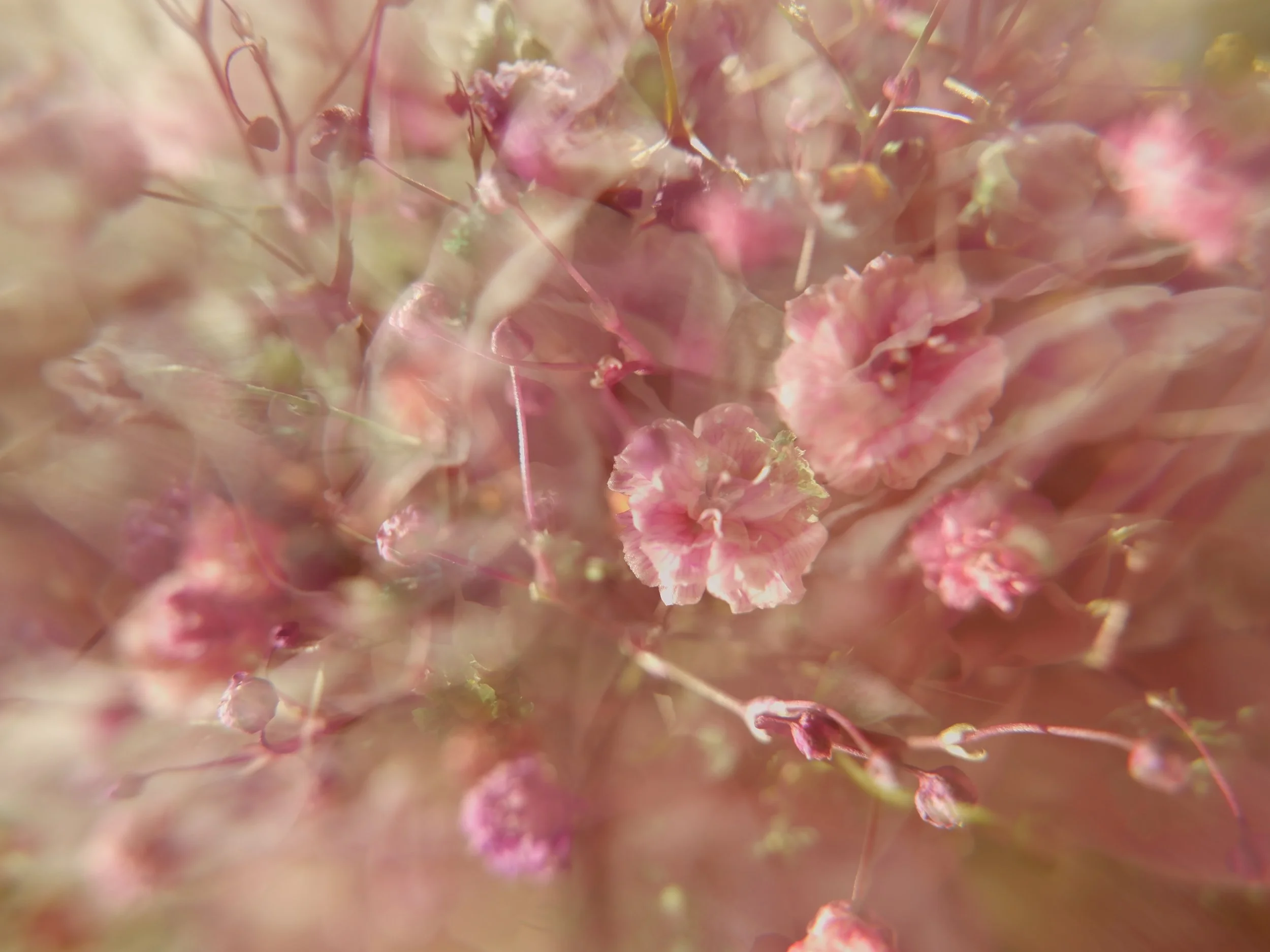 Fall equinox + sun &amp; mercury cazimi