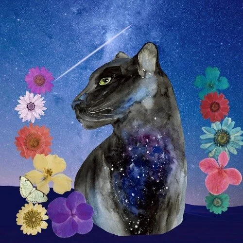 &ldquo;One cannot create beauty; one can only create circumstances favorable to it.&rdquo; 

&mdash; Rainer Maria Rilke (Moon, Saturn &amp; Mars in Aquarius)

Aquarius New Moon #aquarius #newmoon
