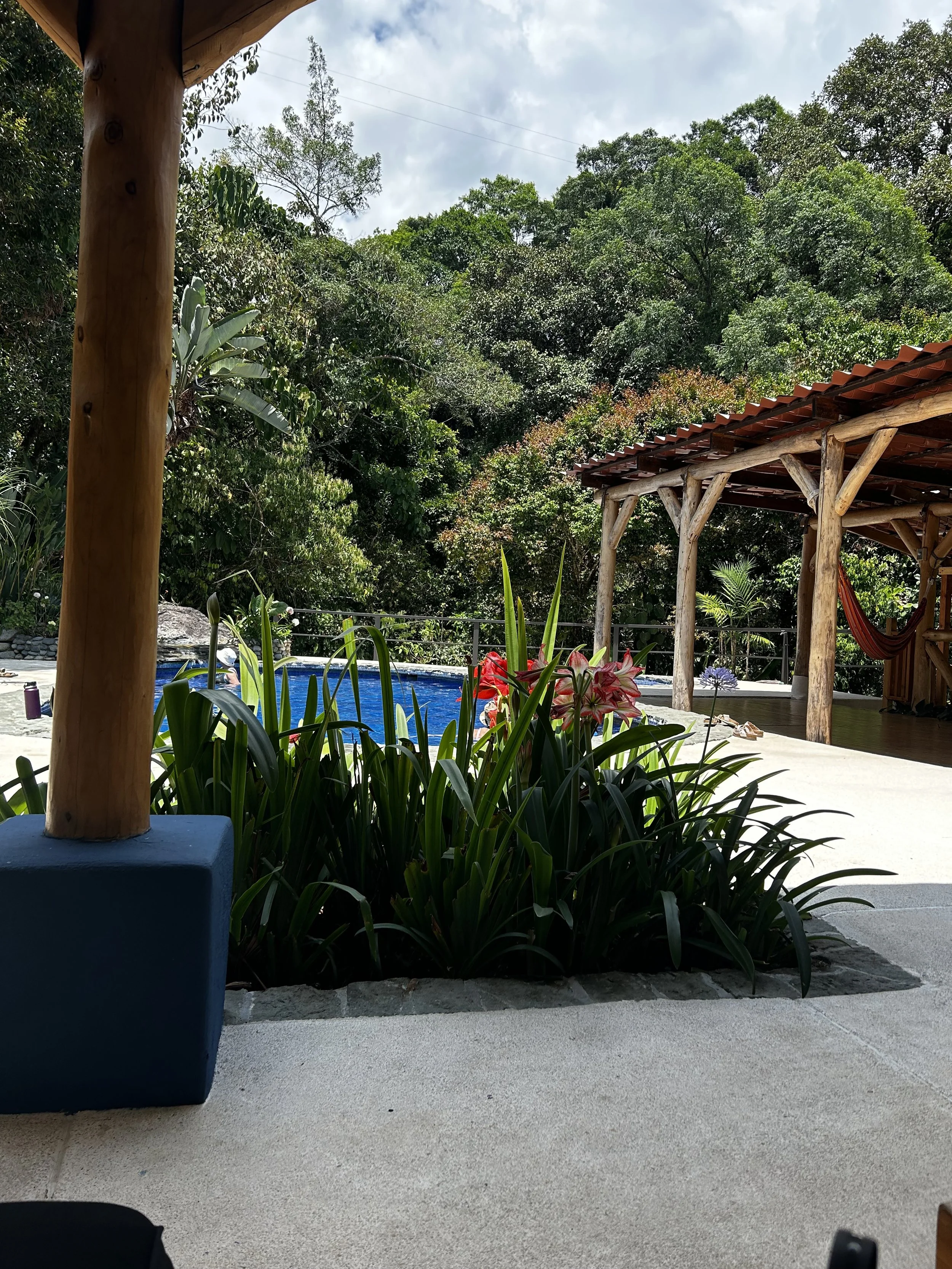 Outdoor pool area with tropical plants and a wooden pergola surrounded by lush greenery.
