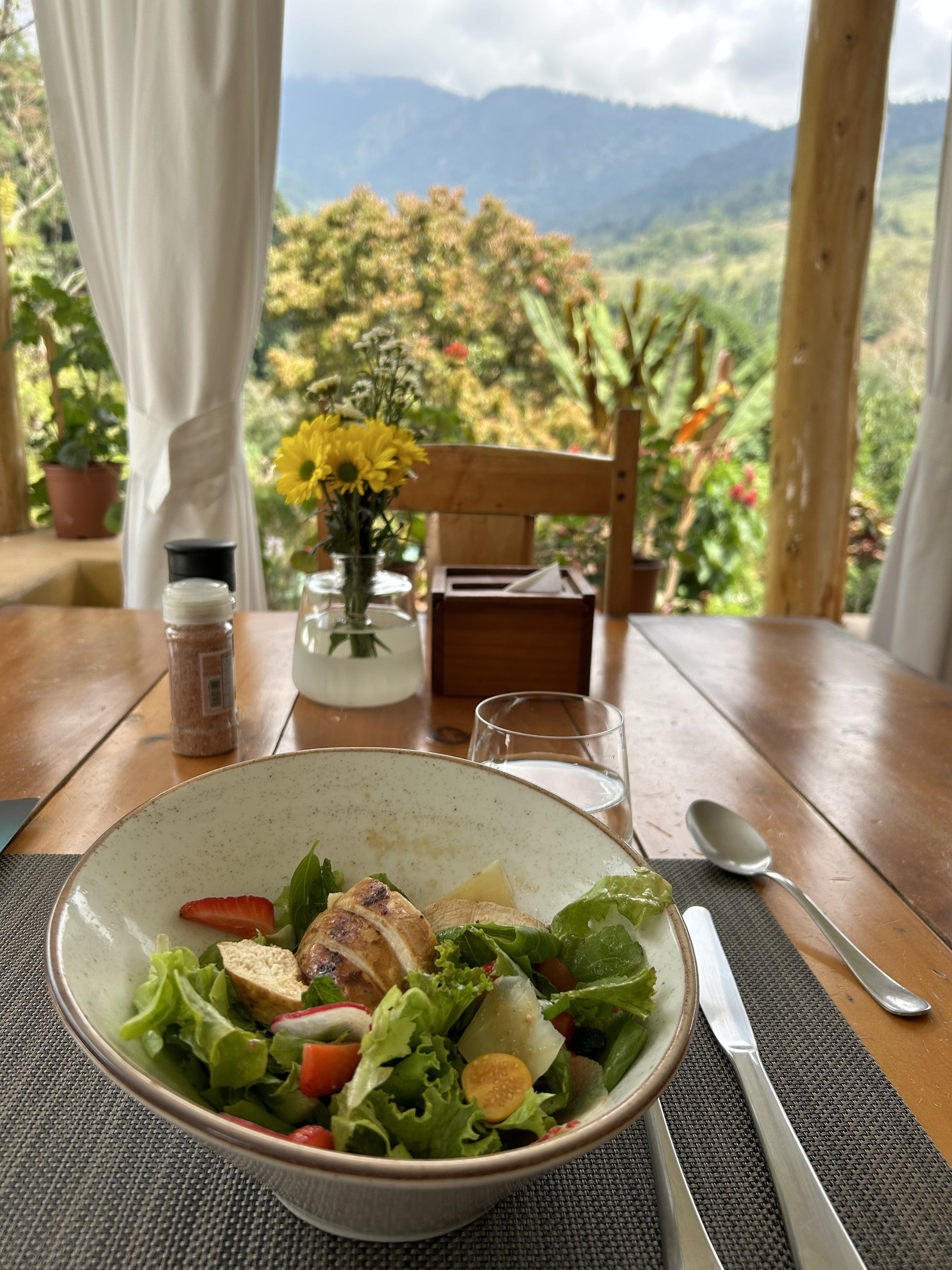 Bowl of salad with chicken, strawberries, greens, and croutons on a table with cutlery and a glass, set against a scenic mountain view and potted flowers.
