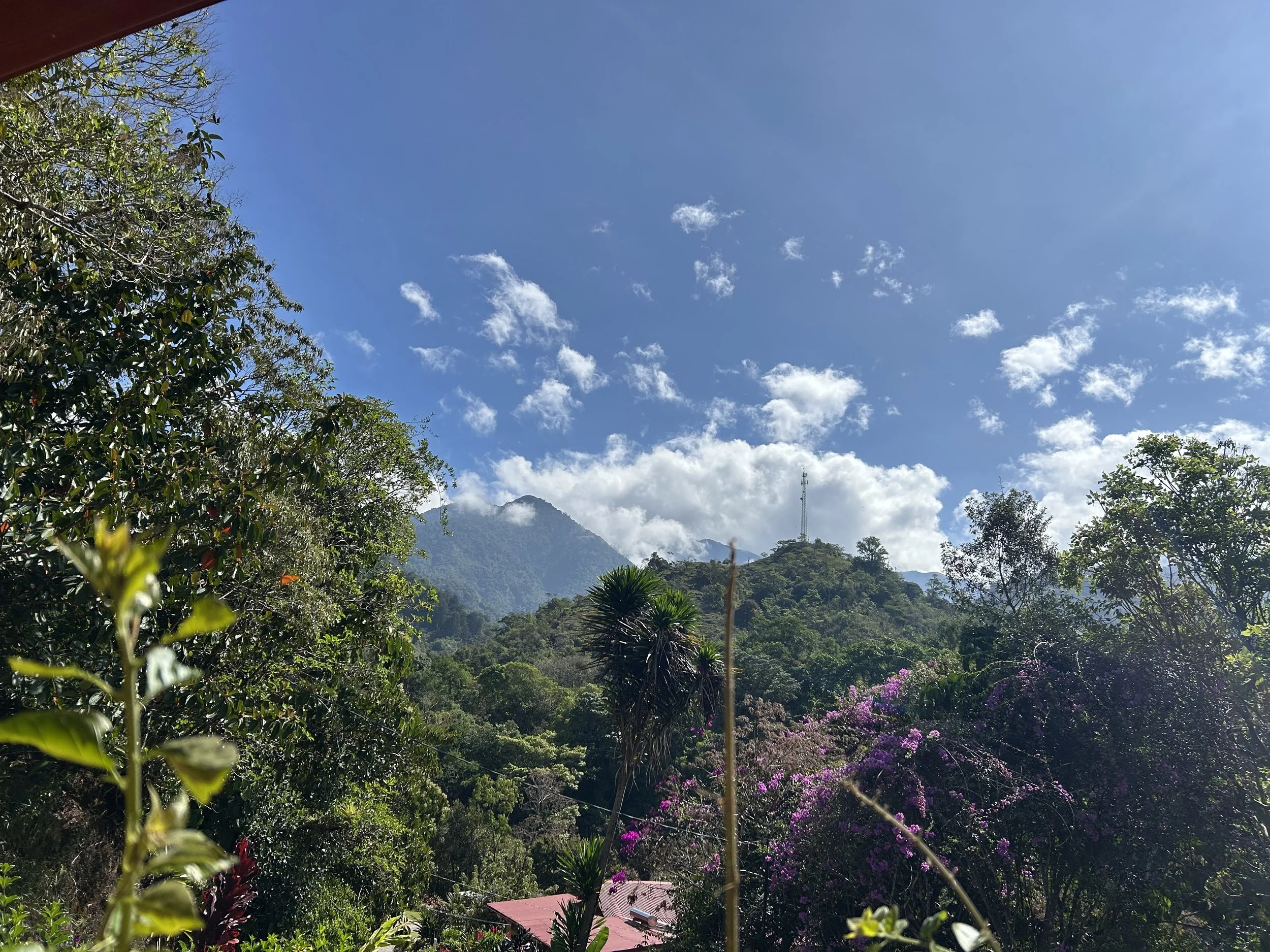 A scenic view of a lush green mountain landscape with a clear blue sky. The foreground features diverse vegetation, including trees and flowering plants. A mountain with a communication tower is visible in the distance, surrounded by scattered clouds.