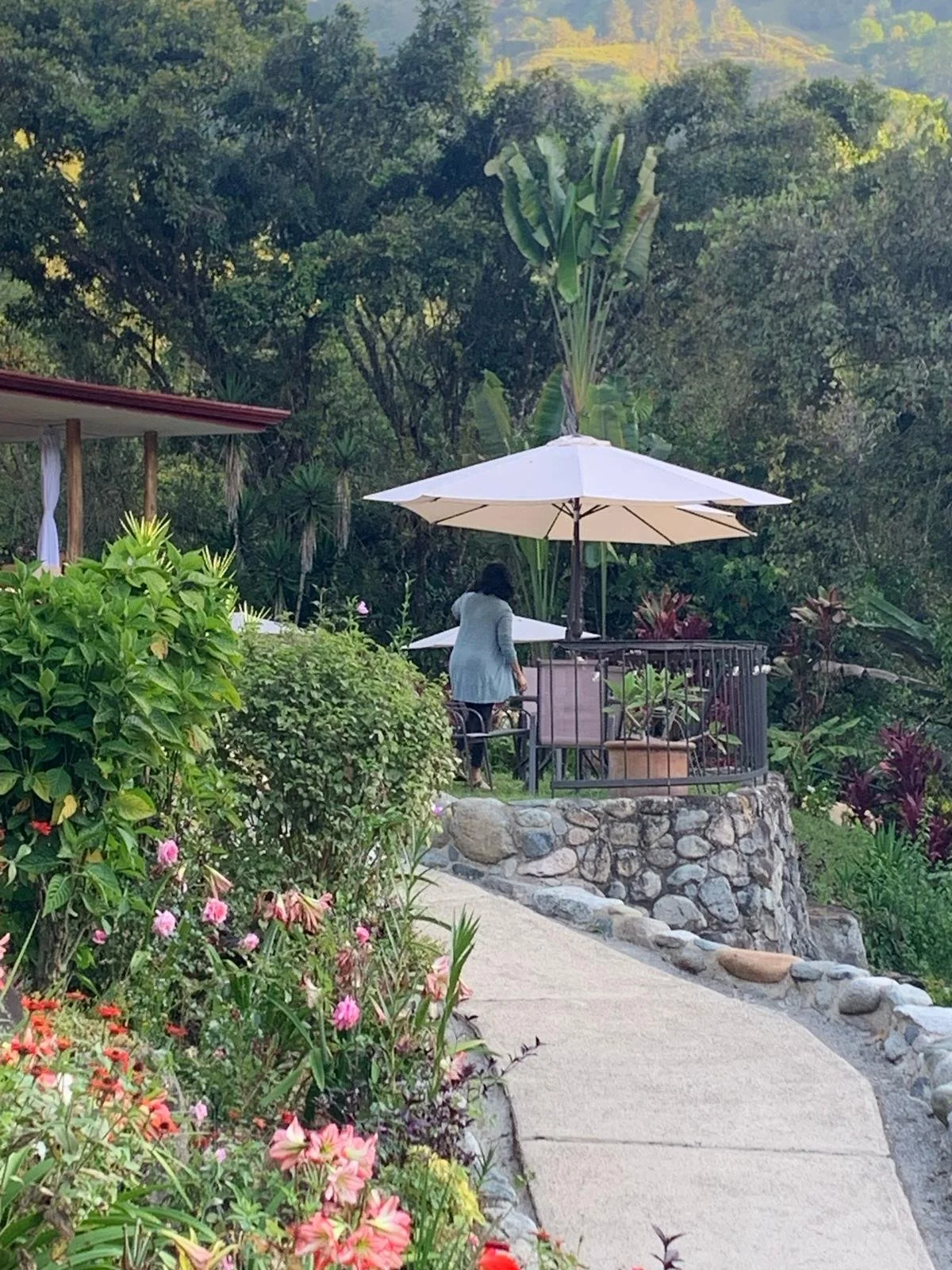 PHOTO-2025-03-24-16-25-52 2.JPG