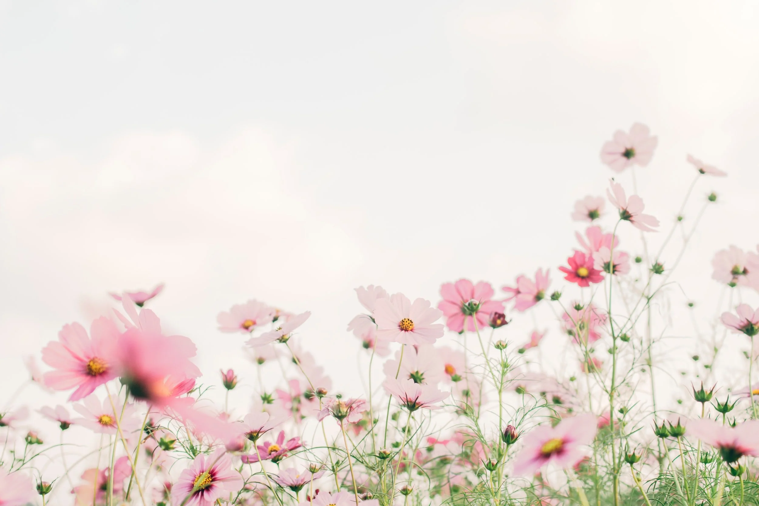 unsplash-image-kxvn1ogpTtE.jpg