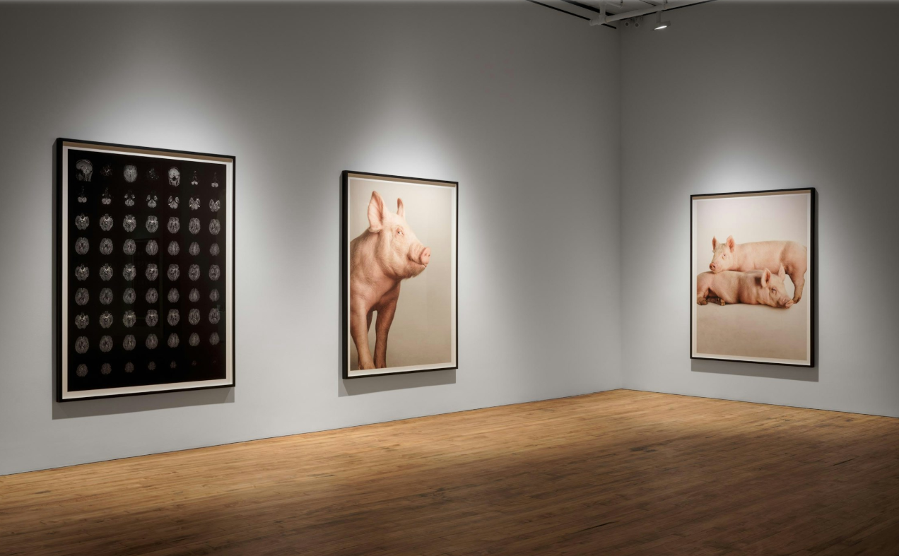 Screenshot 2025-03-28 1.37.49 PM.png