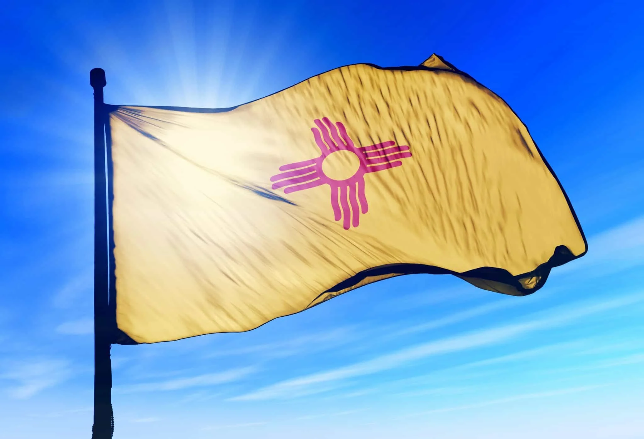 Zia Rising: The 47th State