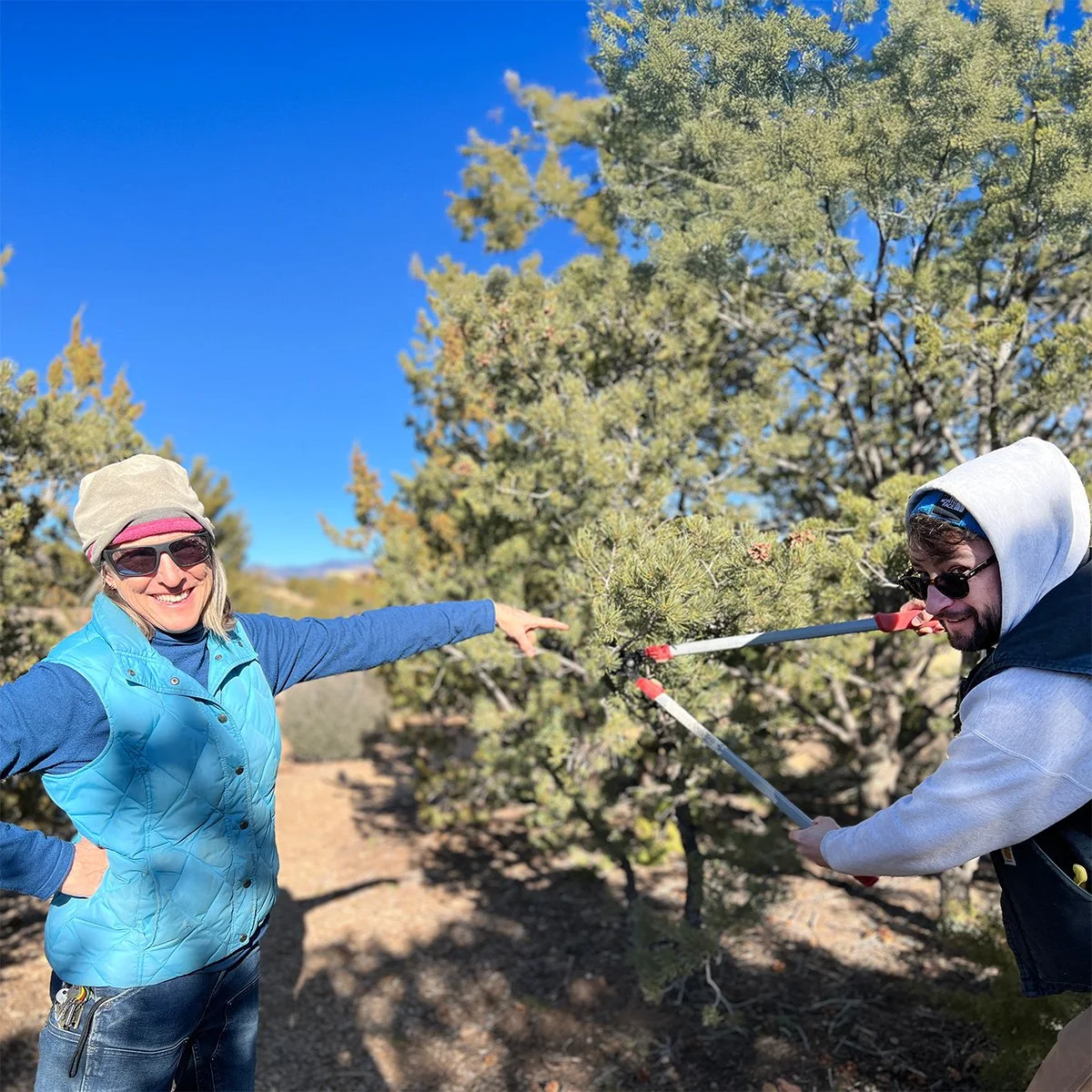 Pruning Basics Workshop 