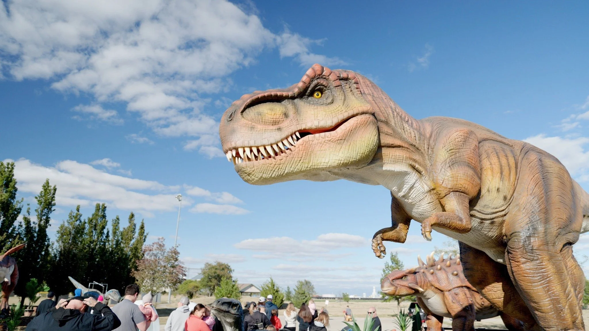 Dinosaurs, Bumblebee & Spiderman