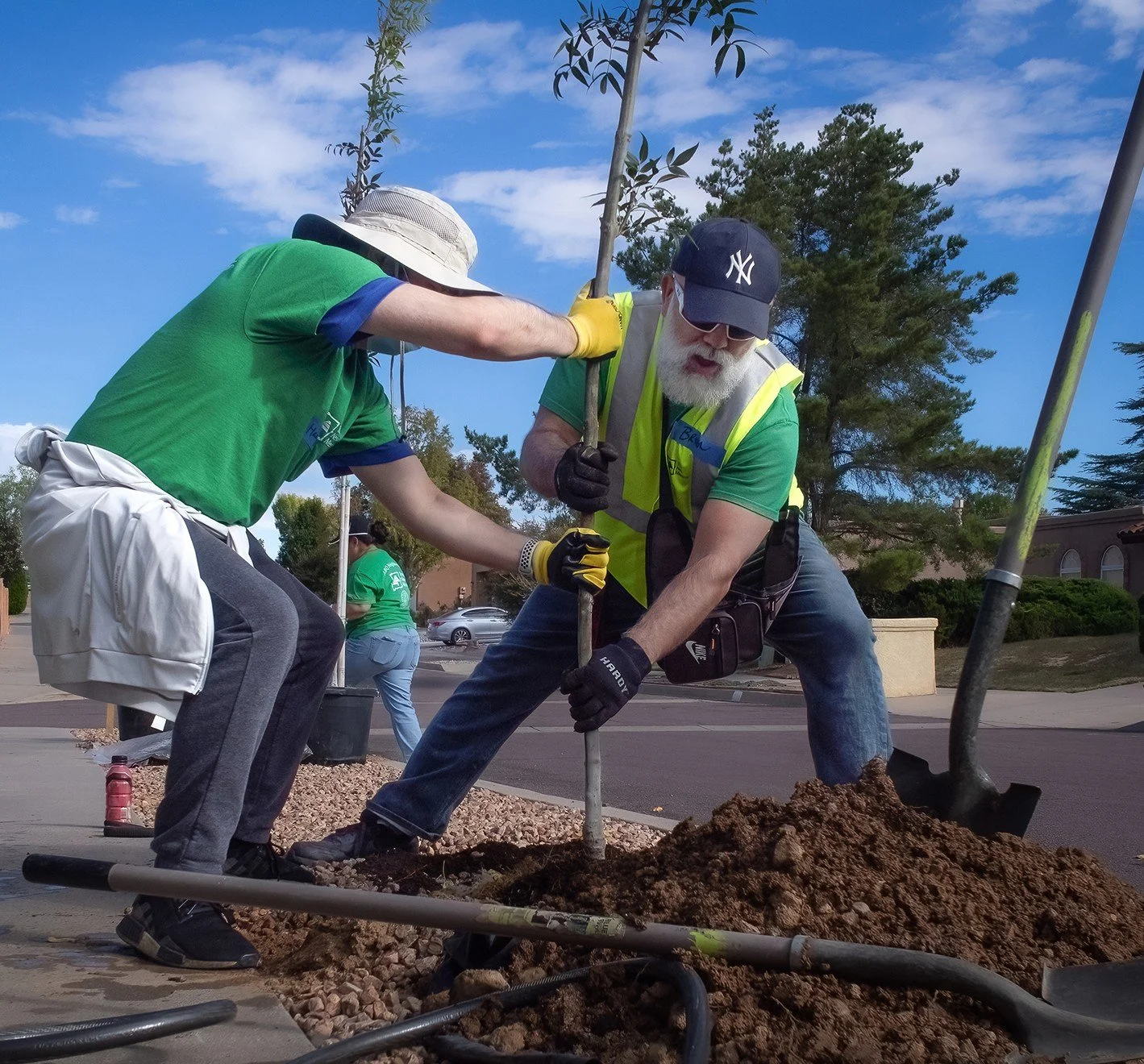 How to Plant a Tree Workshop
