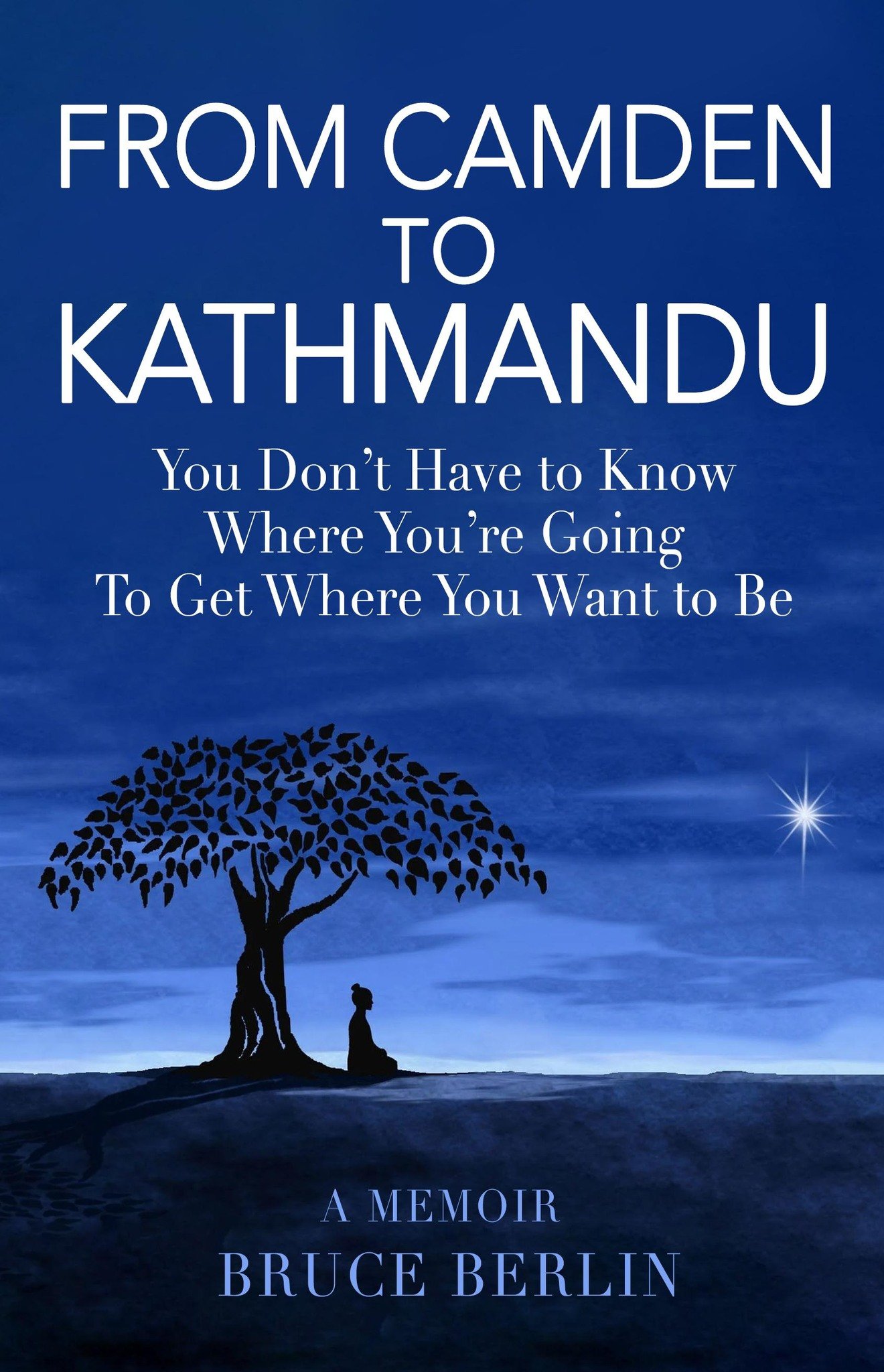 Conversations with Bruce Berlin with Special Guest Victor La Cerva