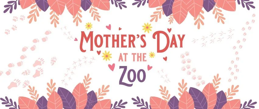 Mother's Day at the ABQ Zoo 