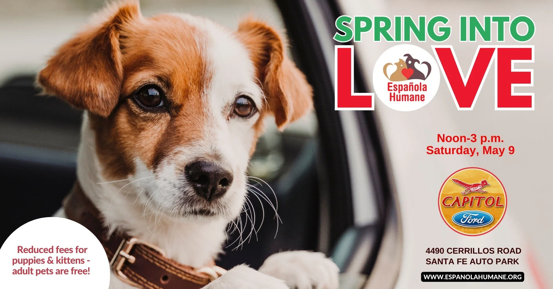 Adopt a Pet at Capitol Ford 